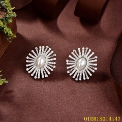 Quality Wholesale Unique Design jewelry Earrings