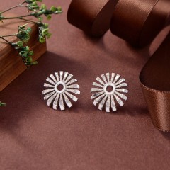 Factory Wholesale  jewelry Earrings