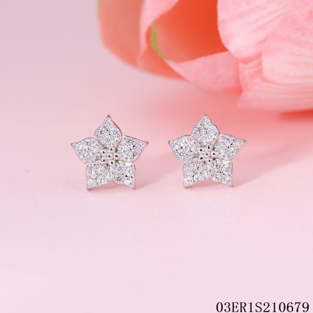 Top Fashion Sterling Silver 925 jewelry Earrings
