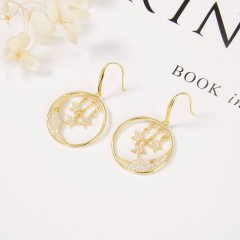 Direct Selling jewelry Earrings