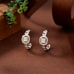 Popular Wholesale Designer jewelry Earrings