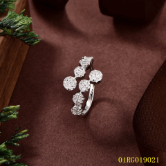 Quality Factory Supply New Design Sterling Silver 925 Jewelry Ring