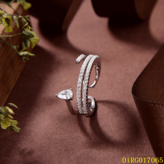 Popular Design Jewelry Ring