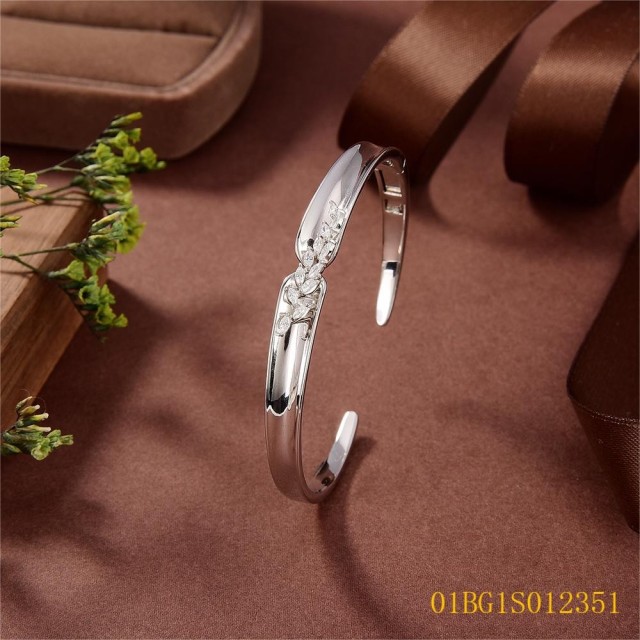 Direct Selling jewelry Bangleset