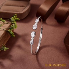 New Product jewelry Bangleset