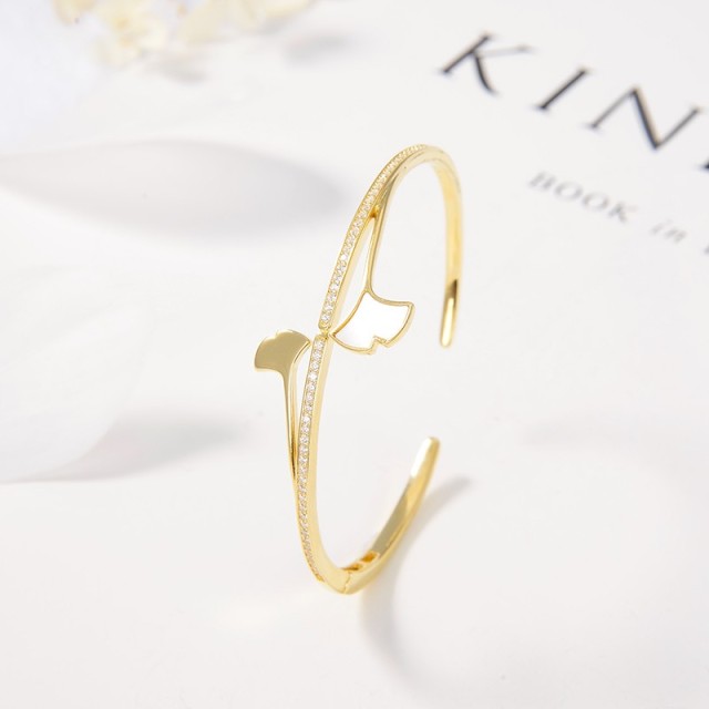 Popular Design jewelry Bangleset