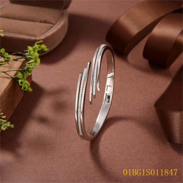 Hot Style Wholesale jewelry Bangleset