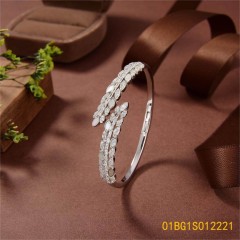 Hot Fashion jewelry Bangleset