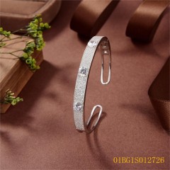 New Arrivals jewelry Bangleset