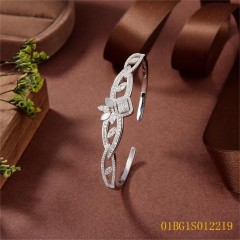 Popular Design jewelry Bangleset