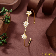 Popular Wholesale Designer jewelry Bangleset