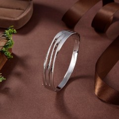 Classic Hot Sale jewelry Bangleset