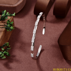 Factory Supply Quality Assurance jewelry Bangleset