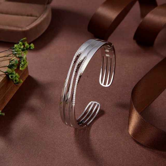 Hot Fashion jewelry Bangleset