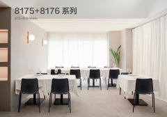 8175+8176系列 (Series)