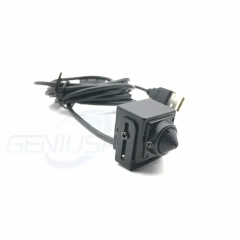 20x20mm 1080P Smallest Size CMOS 720P HD Mini Pin hole Usb Camera KIOSK Industry Machine PC UVC Miniature ATM Usb Camera