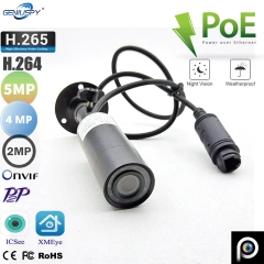 P2P Onvif Waterproof Outdoor 1080P 4MP 5MP Miniature Ir Infrared Bullet Mini IP Camera POE Day Night Vision Security Cam For Car