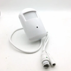 H.265 3MP 4MP 5MP 4K 8MP 940nm IR Pir Covert POE IP Camera Audio Mini Cam XMEYE Support Motion Alarm Email Photo Human Detection