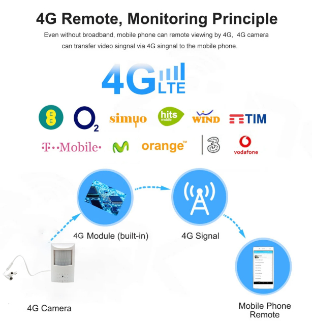 Camhi App 940NM IR Night Vision Hidden Secret Pinhole 4G Lte Pir IP Camera Camouflage HD 1080P 5MP IP Network Camera TF Slot Slot Audio