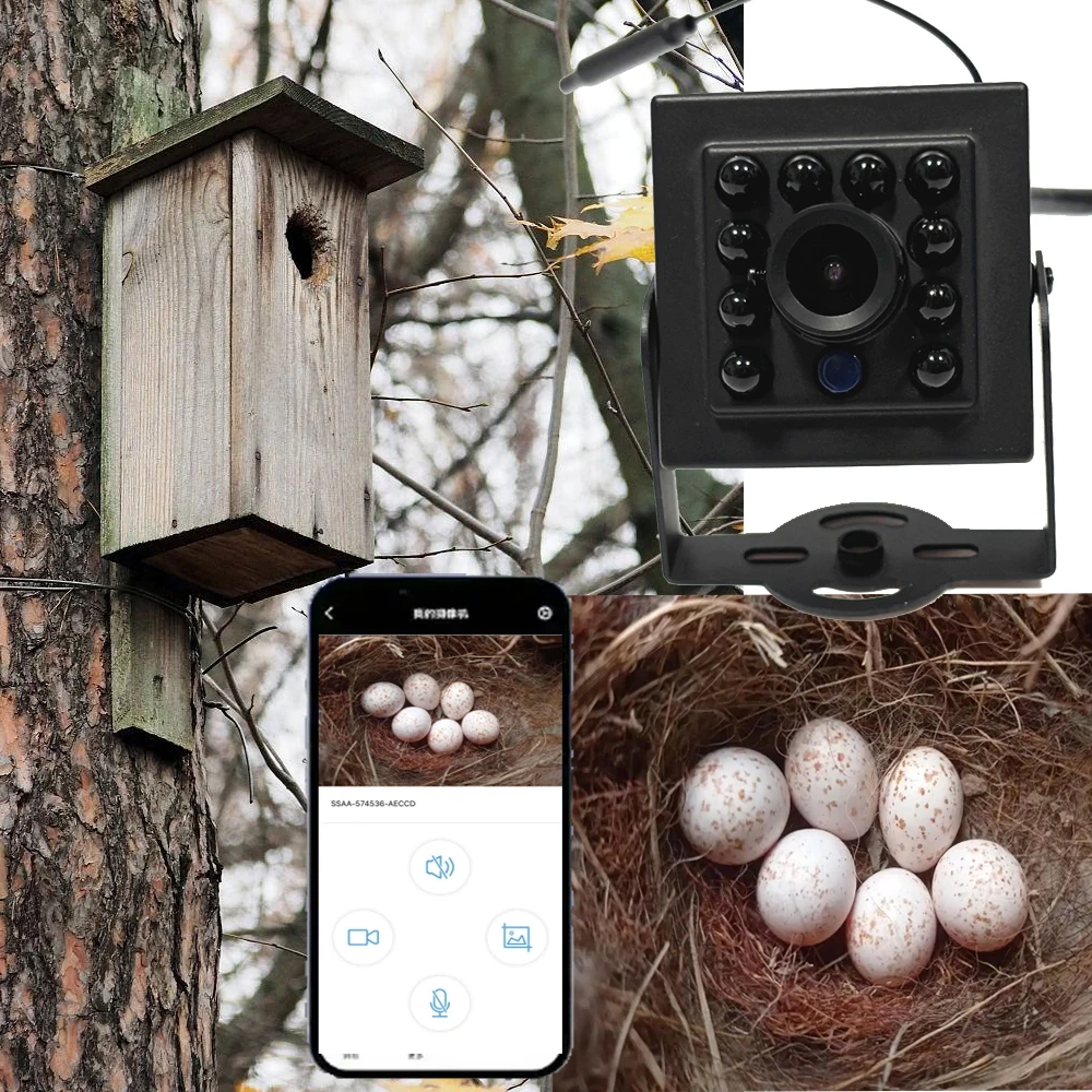 Birdhouse Camera with 5MP 2MP 1080P HD Camera Wireless WiFi & App Notify Smart Birdhouse with Capture Photo & Video P2P Camhipro