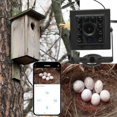 Birdhouse Camera with 5MP 2MP 1080P HD Camera Wireless WiFi & App Notify Smart Birdhouse with Capture Photo & Video P2P Camhipro