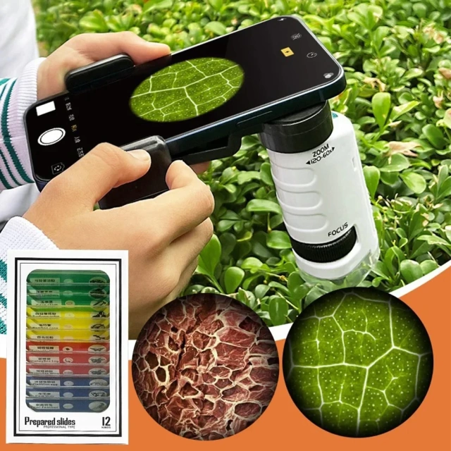 Jumon Pocket Optical Biological Microscope Kid Science Educational Toys 60X-120X Handheld Microscope China Infant Baby Toys Manufacturers, Suppliers