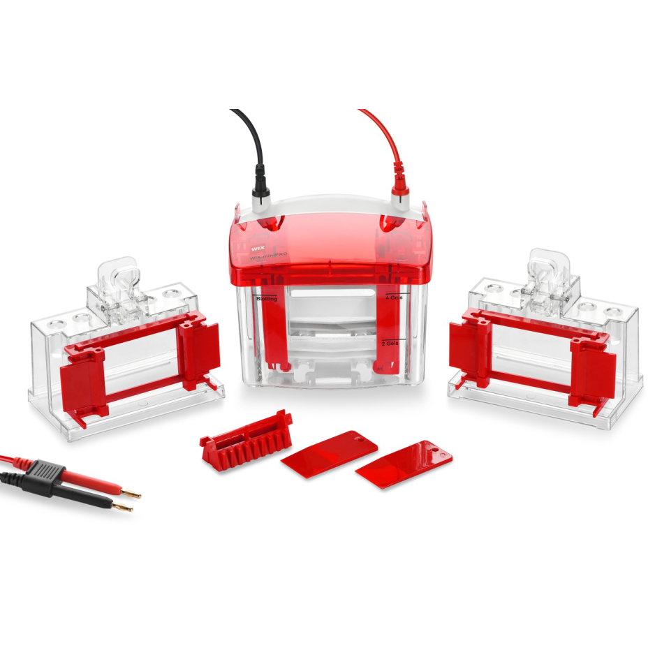 WIX-miniPRO2 两块胶迷你垂直电泳槽