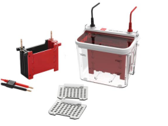 WIX-miniBLOT-C  循环降温转印槽