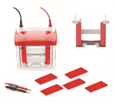 WIX-multiPRO2  预制胶电泳槽