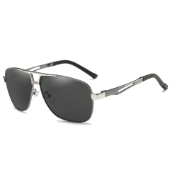 Gun-silver/Grey