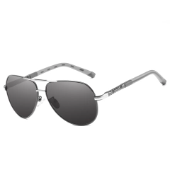 Gun-silver/Grey