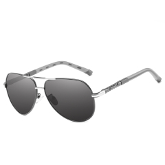 Gun-silver/Grey