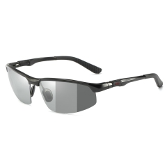 Black/Photochromic Gray