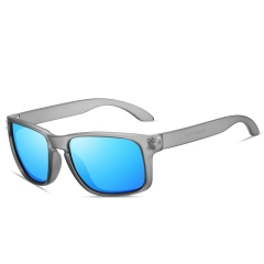 Gray/Blue Mirror