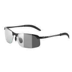 Black/Photochromic Grey