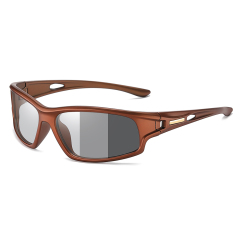 Brown/Photochromic Grey