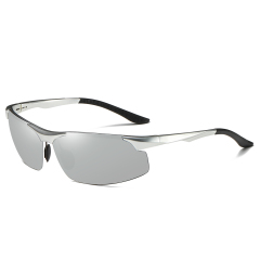 Silver/Silver Mirror