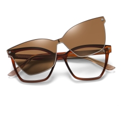 Brown-silver/Brown