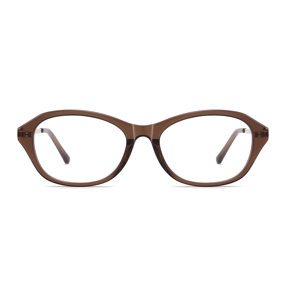 Wholesale Butterfly Cat-Eye Acetate Optical Frames with Metal Temples Premium Combination Eyeglasses for Women Custom Eyewear Manufacturer China