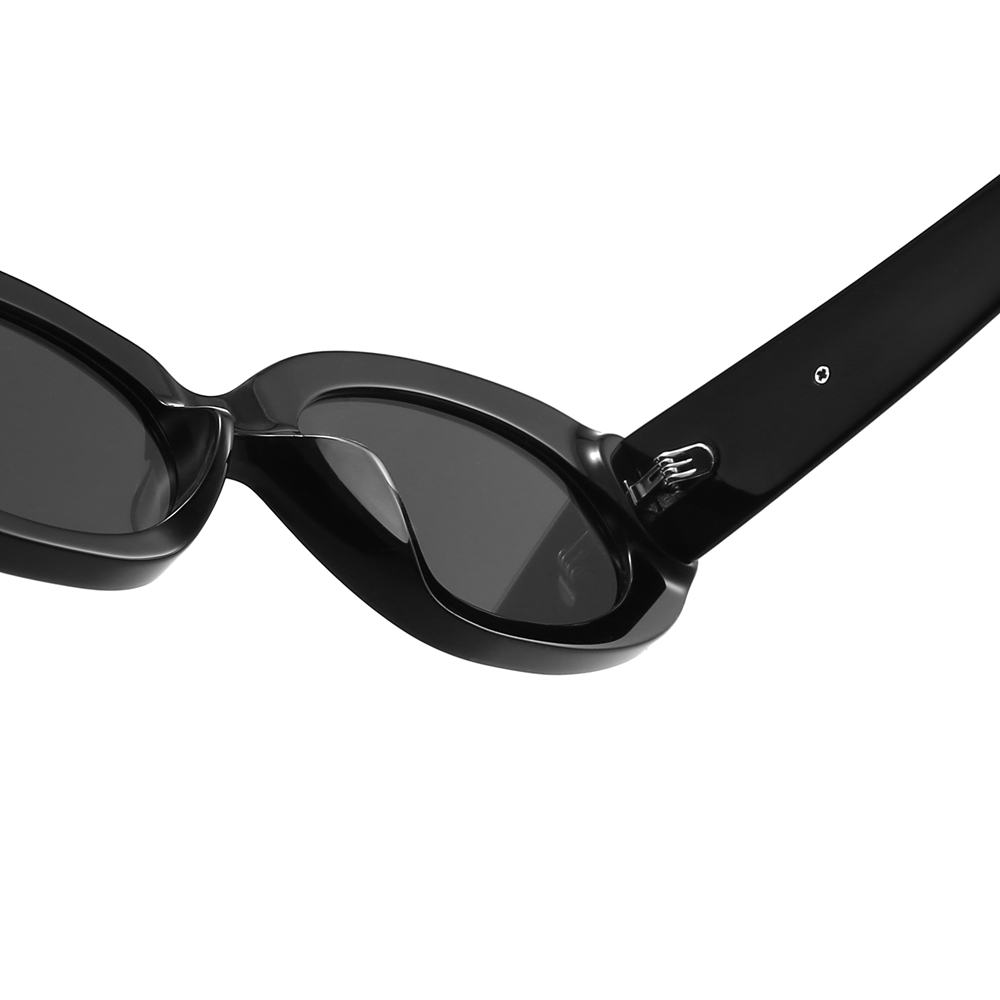 Wholesale Ladies Thick Oval Sunglasses with Metal Accents High-Fashion Y2k Shades for Women Premium Acetate Designer Eyewear Manufacturer China