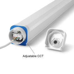LED Tri-proof Light -TPC  Series