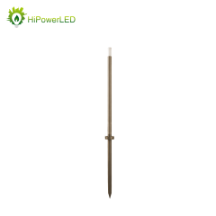 LED Lawn Lights