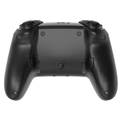 Switch/Lite/Oled/PC/IOS/Android/Steam RGB Breathing Lighting Wireless Controller/Transparent Black