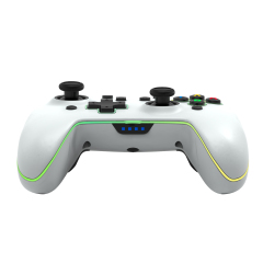Switch/Lite/Oled/PC/Android/IOS/Steam Wireless Controller /White