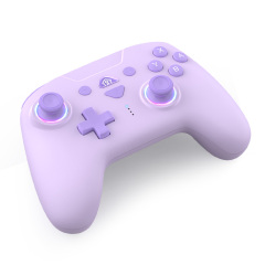 Switch/Lite/Oled/PC/IOS/Android/Steam RGB Breathing Lighting Wireless Controller