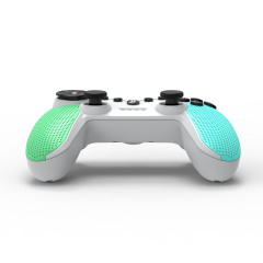 Switch/Lite/Oled/PC/Android/IOS/Steam Wireless Controller/Blue+Green