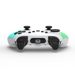 Switch/Lite/Oled/PC/Android/IOS/Steam Wireless Controller/Blue+Green