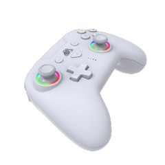 Switch/Lite/Oled/PC/IOS/Android/Steam RGB Breathing Lighting Wireless Controller