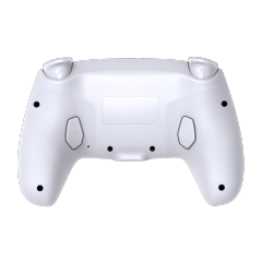 PS5 /PS5 SLIM /PS5 PRO /PC RGB Wireless Controller