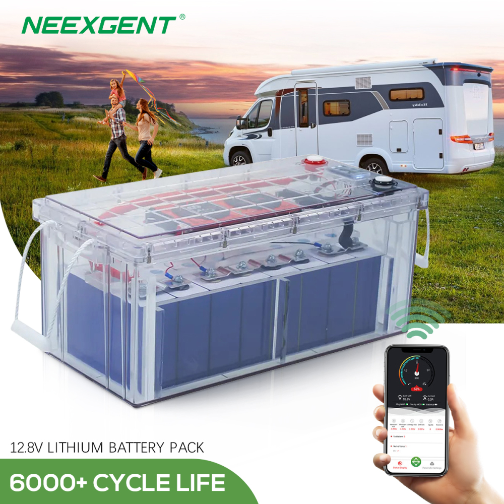 Neexgentsolar 12.8v 200ah 300ah Transparent Lifepo4 Battery Box with Daly BMS